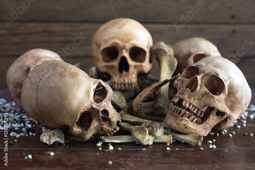 Pile of Skull and Bone on wooden table with pebble .