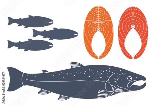 Salmon