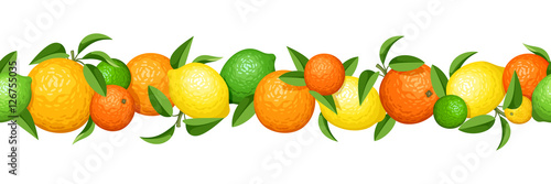 Vector horizontal seamless garland with various citrus fruits and green leaves.