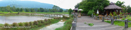 Panorama lush green rice fields of the countryside  Thailand