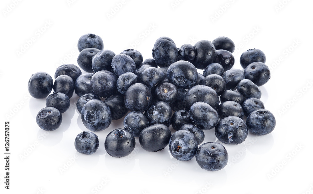 blueberry on white background blueberry on white background