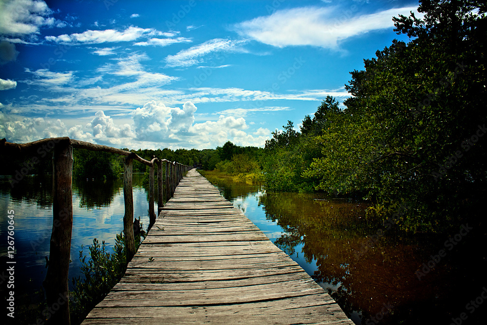 Puente de madera en Playa Miami