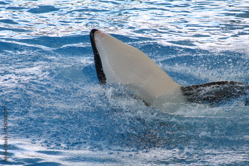 Fototapeta premium Beautiful unique landscape of Canary Island Tenerife