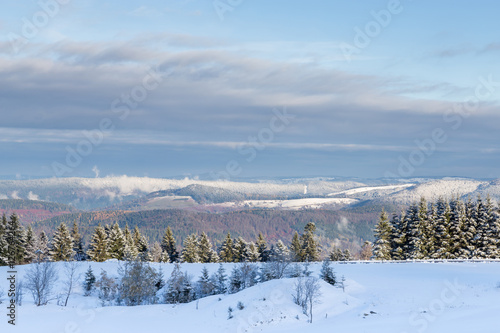 neige dans les Vosges