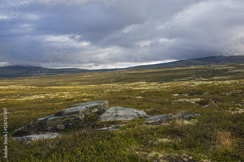 Tundra landscape on Rondane National park