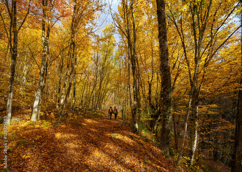 Obraz premium Крым