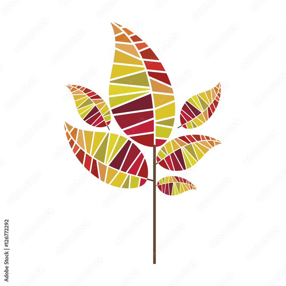 leaf abstract icon image vector illustration design 
