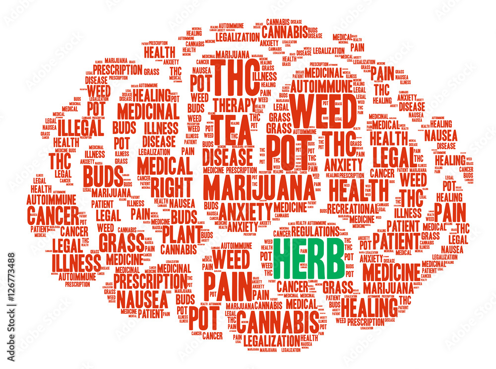 Herb Word Cloud on a white background. Herb Word Cloud on a white background.