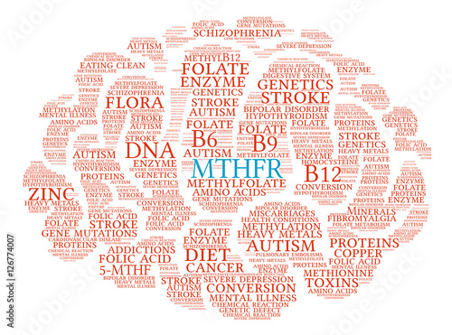 MTHFR Brain Word Cloud