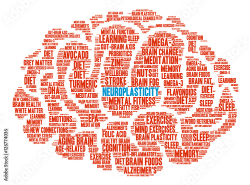 Neuroplasticity Brain Word Cloud