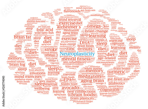 Neuroplasticity Brain Word Cloud
