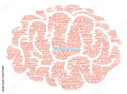 Neuroplasticity Brain Word Cloud