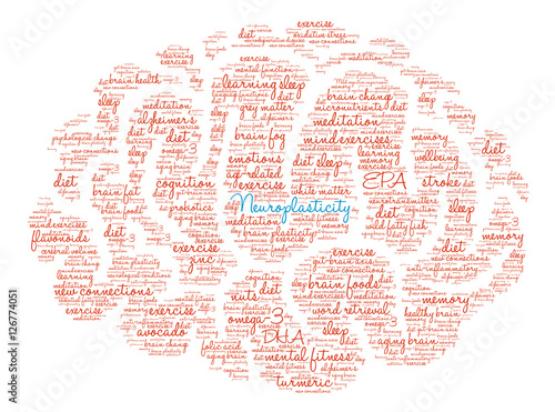 Neuroplasticity Brain Word Cloud