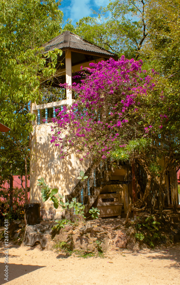 Wat Srisu Wanna Ram - Bang Por temple Koh Samui, Thailand