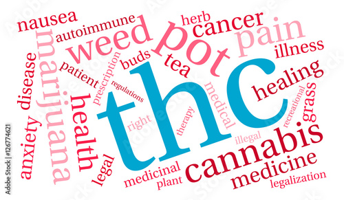 THC Word Cloud on a white background. 