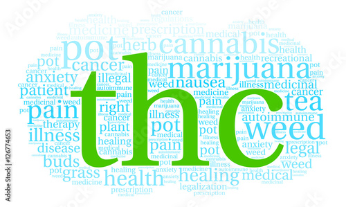THC Word Cloud on a white background. 