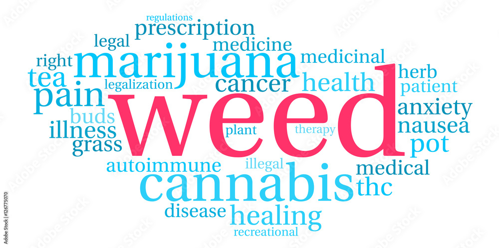 Obraz premium Weed Word Cloud on a white background. 