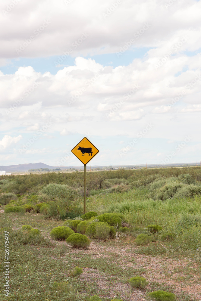 Cattle guard sign in countryside.
