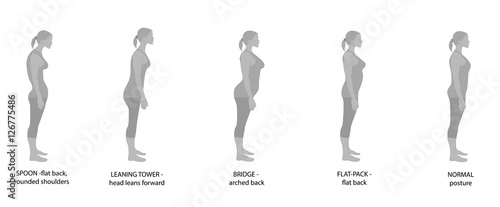types of posture women. vector illustration.