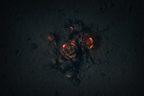 Rose buried in ashes