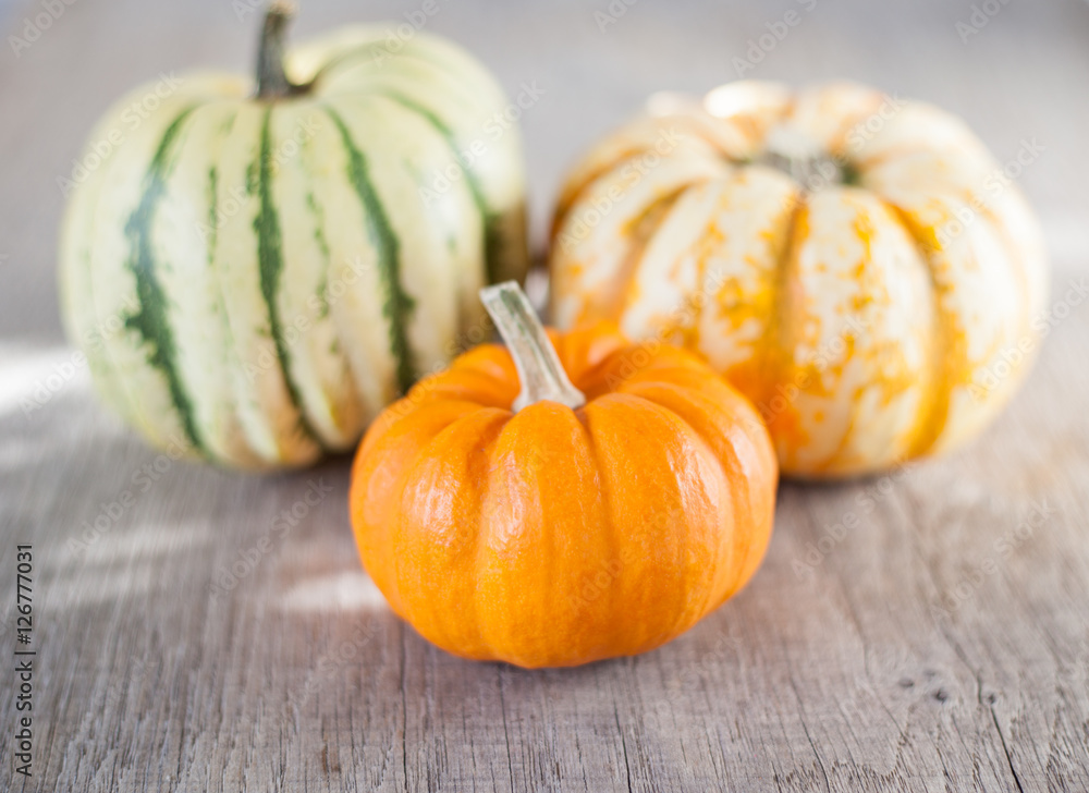 Three gourds on the grey wooden table, selective focus Three gourds on the grey wooden table, selective focus