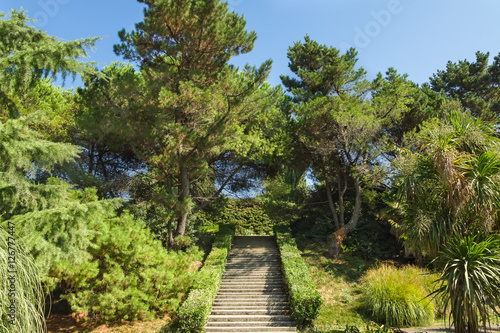 Staircase in the Park