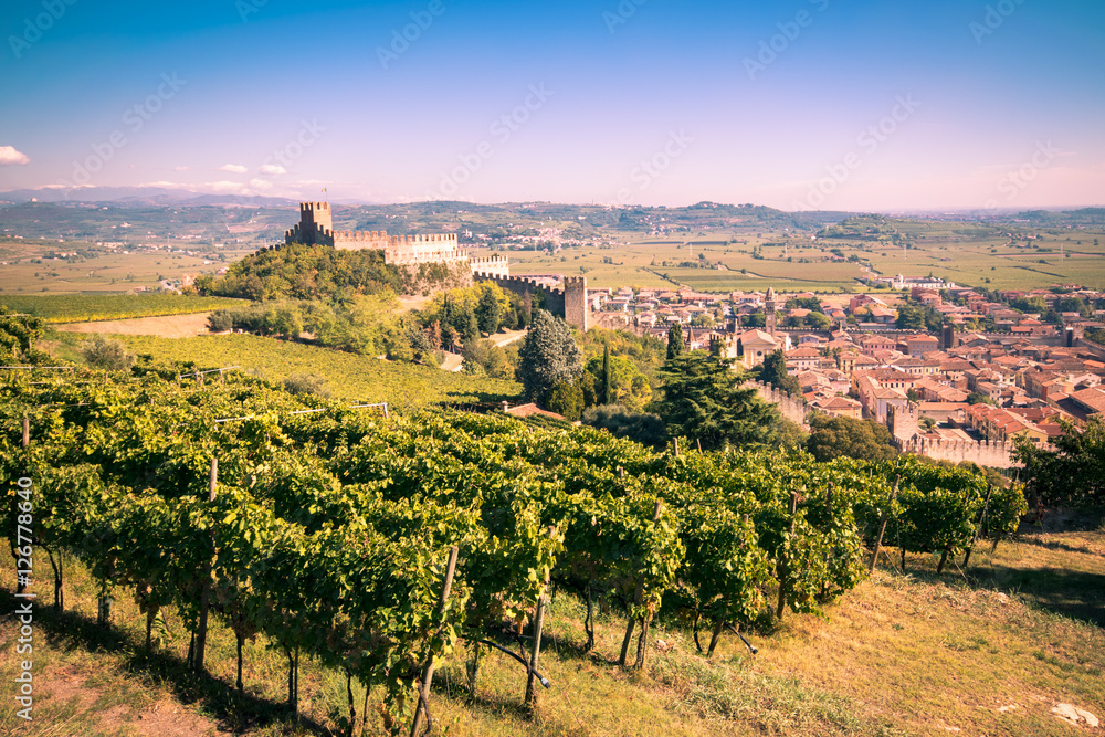 view of Soave (Italy) and its famous medieval castle.