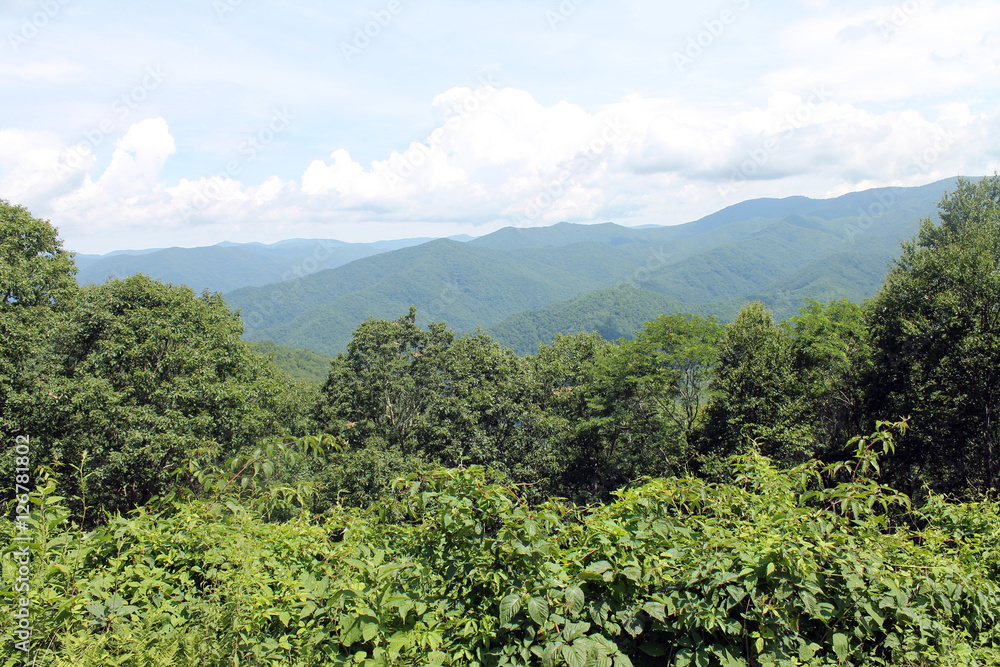 Mountains in Distance of Great Smoky Mountains National Park