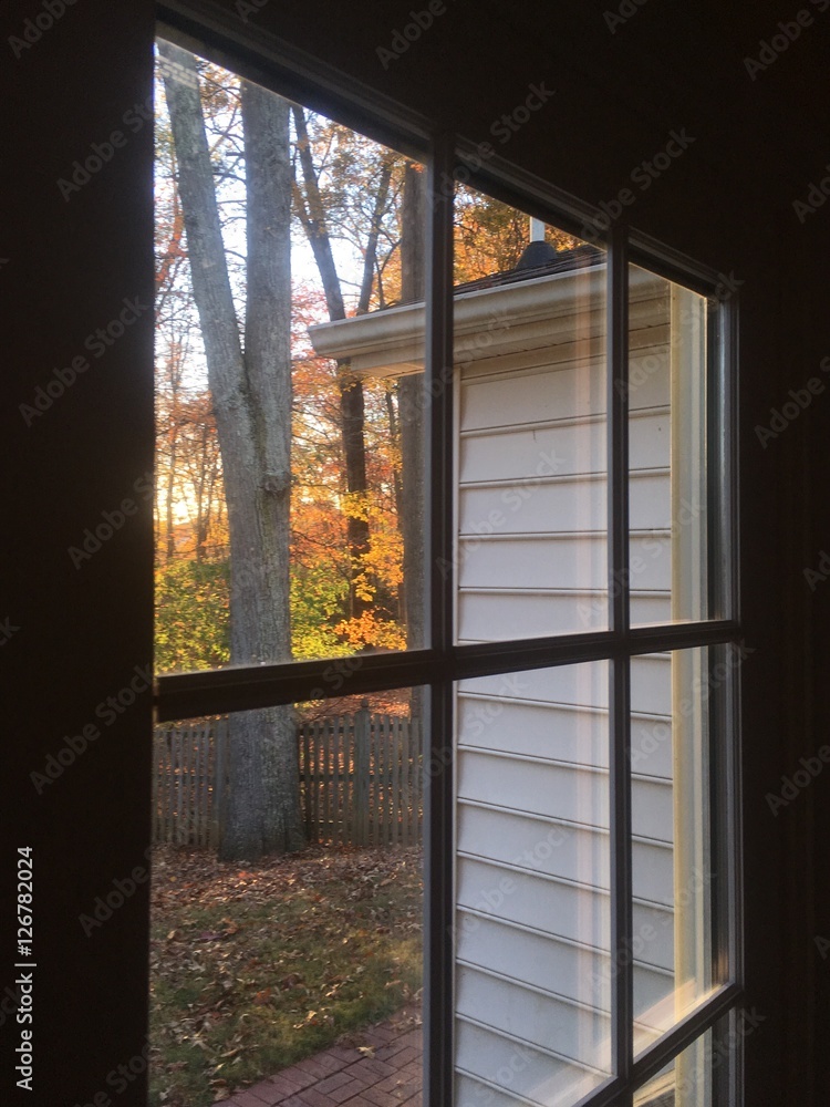 window on fall foliage in afternoon window on fall foliage in afternoon