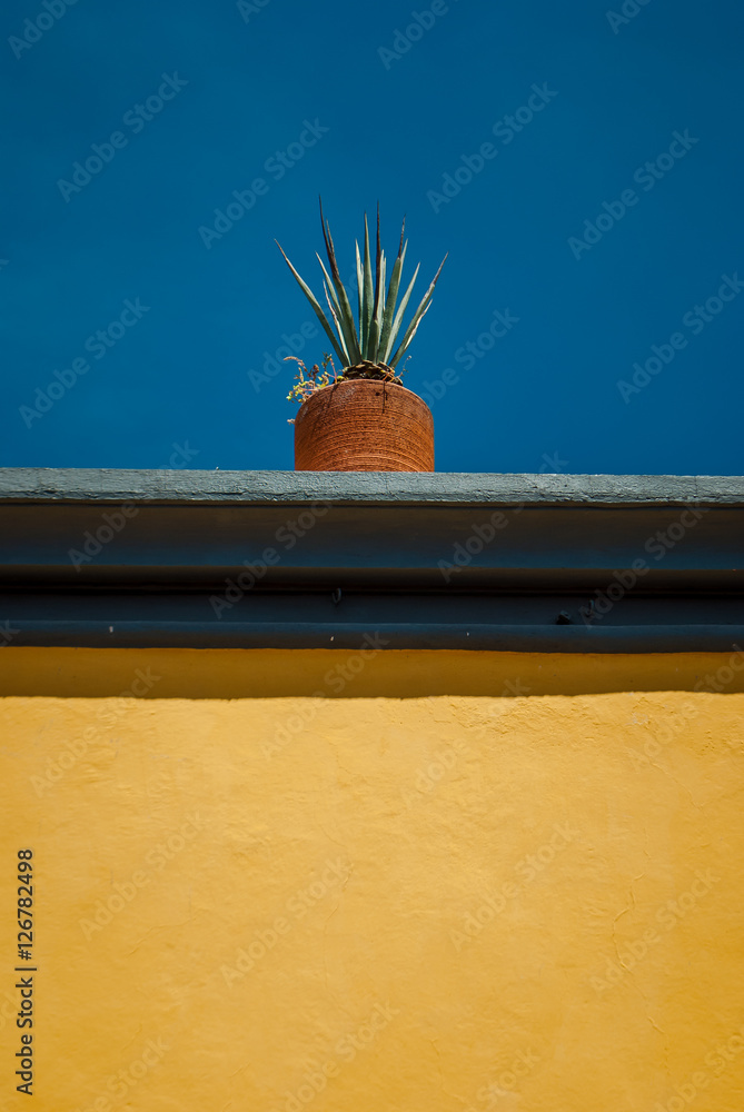 Fototapeta premium San Miguel de Allende