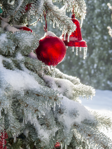 Red Christmas ornaments on snow & ice-covered tree close-up