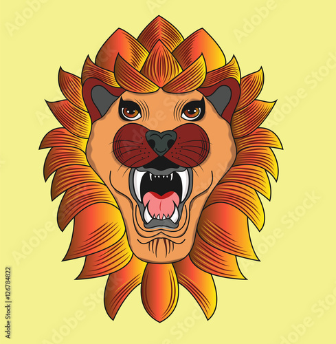 Vector illustration of a colored lion's head separate background,testa di leone colorata vettoriale sfondo separato