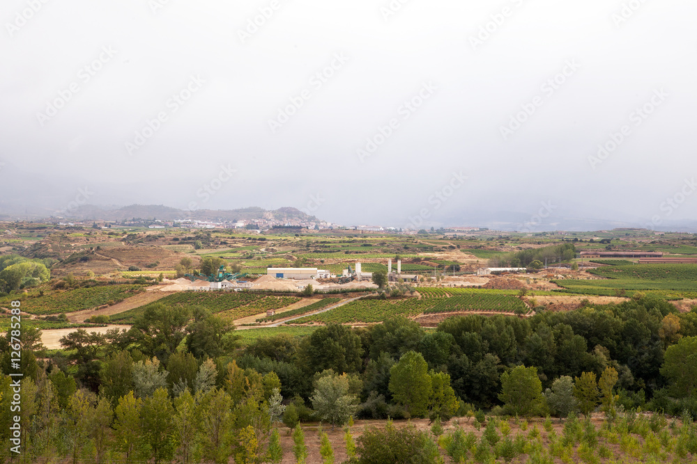 Haro Countryside & Vineyards, La Rioja, Spain