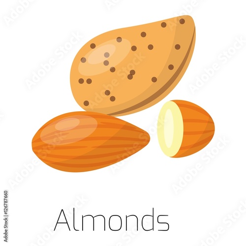 Pile of nuts vector illustration almonds