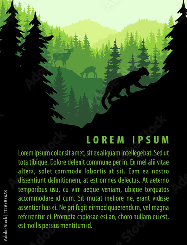 vector forest background design template with mountains and animals