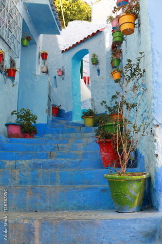 Flowerpots on the steps of a street in Chefchaouen, Morocco