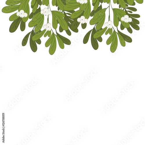 Christmas upper edge mistletoe with white flowers vector illustration