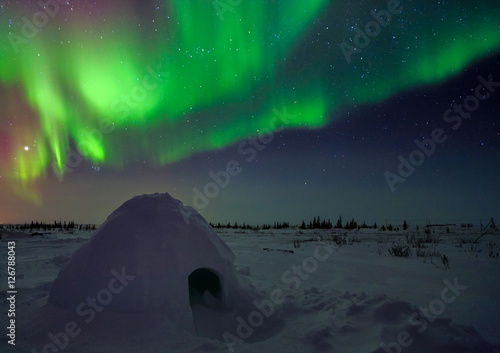 Northern Lights Above an Igloo