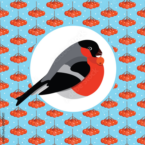 Bullfinch with rowanberry