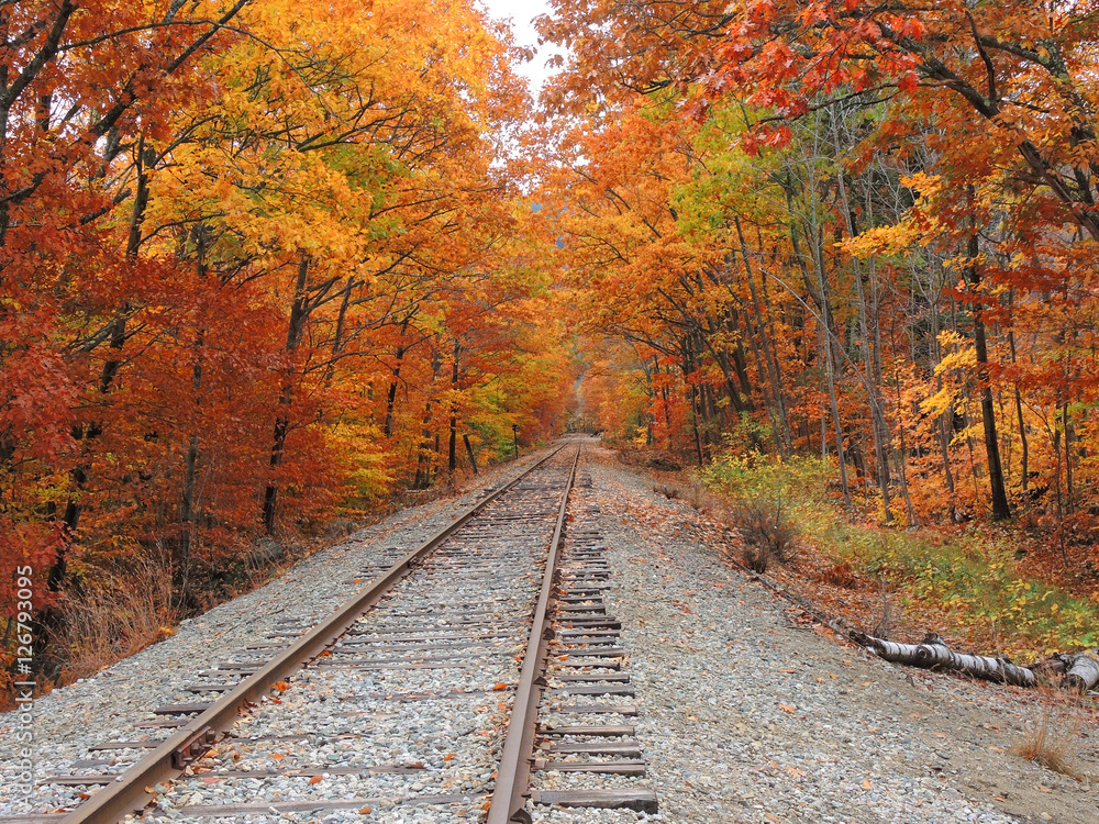 Train lines in a Fall setting near the Kancamagus highway.