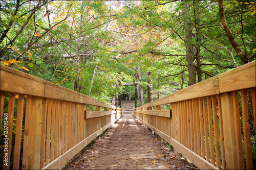 Trail Through Hocking Hils State Park, Ohio