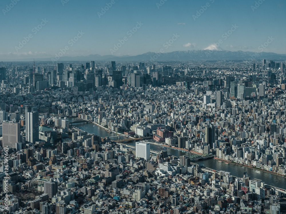 Tokyo Urban Landscape