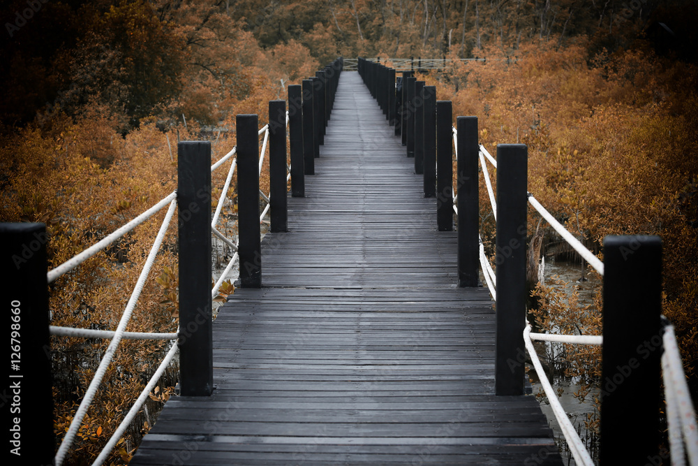 Obraz premium Wooden bridge of walkways in mangrove forest with autumn leaves.