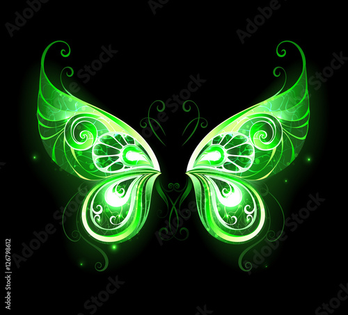 green fairy wings