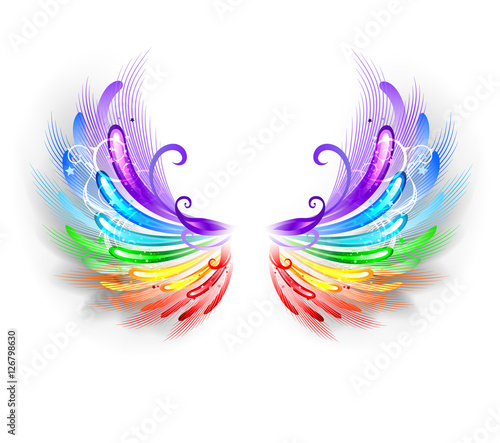 Rainbow Wings on a White Background