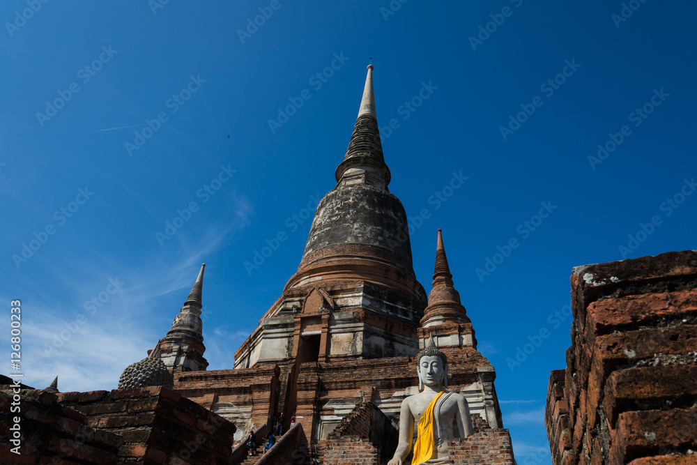 Naklejka premium Flowers