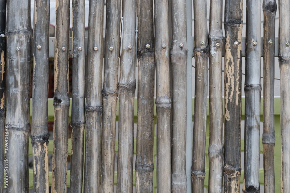 Fototapeta premium bamboo fence