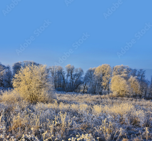 a beautiful frozen winter landscape