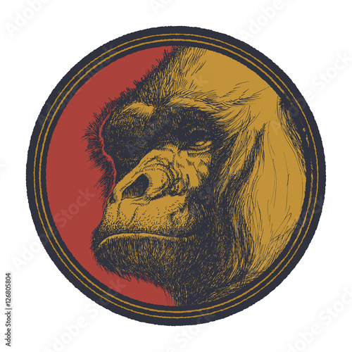 Gorilla Head Logo Mascot Emblem photo