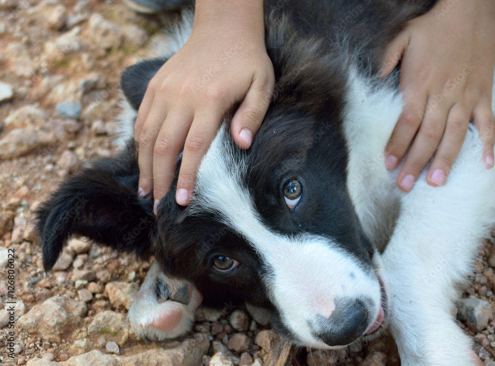 love between child and dog love between child and dog